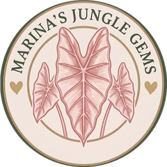 Marina's Jungle Gems